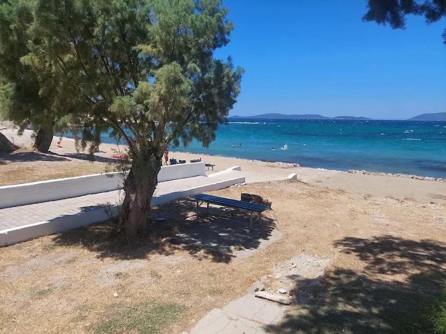 Σπίτι διακοπών Sifne Yali'Da 4 Oda 9Kisi Yatak Kapasite Manzarali Çeşme